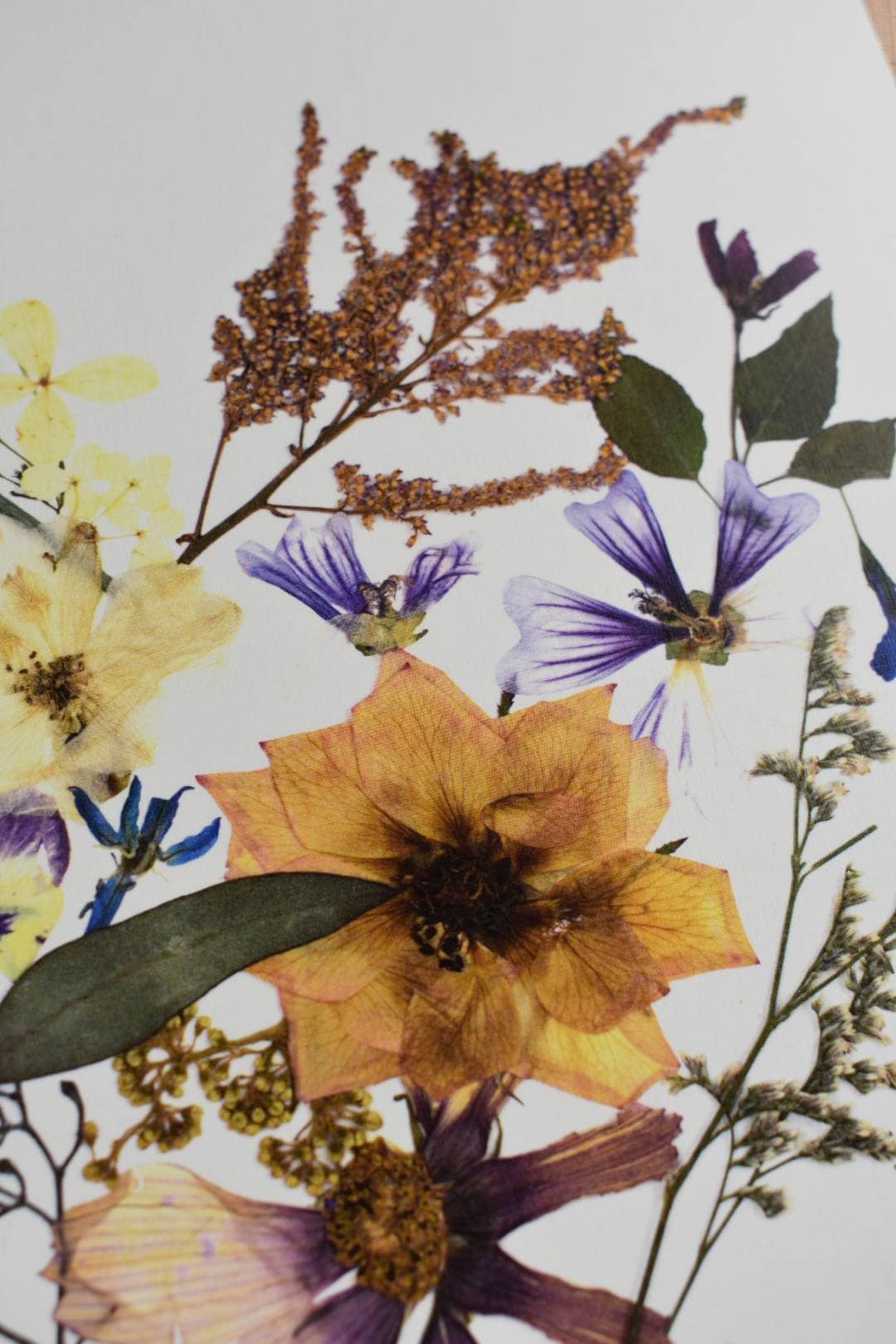 pressed flower 8x10 heart art print