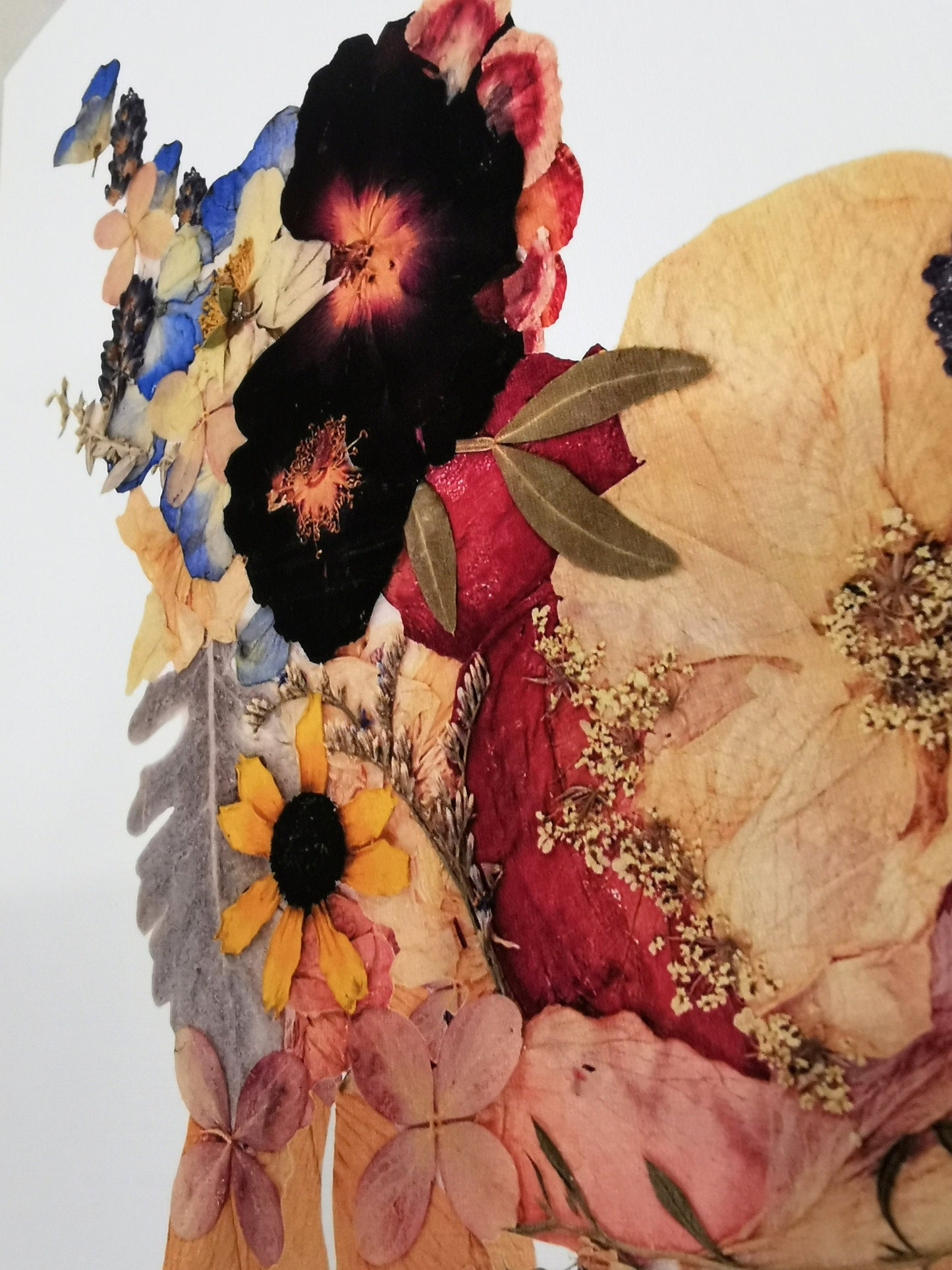 Pressed flower 8x10 elephant art print