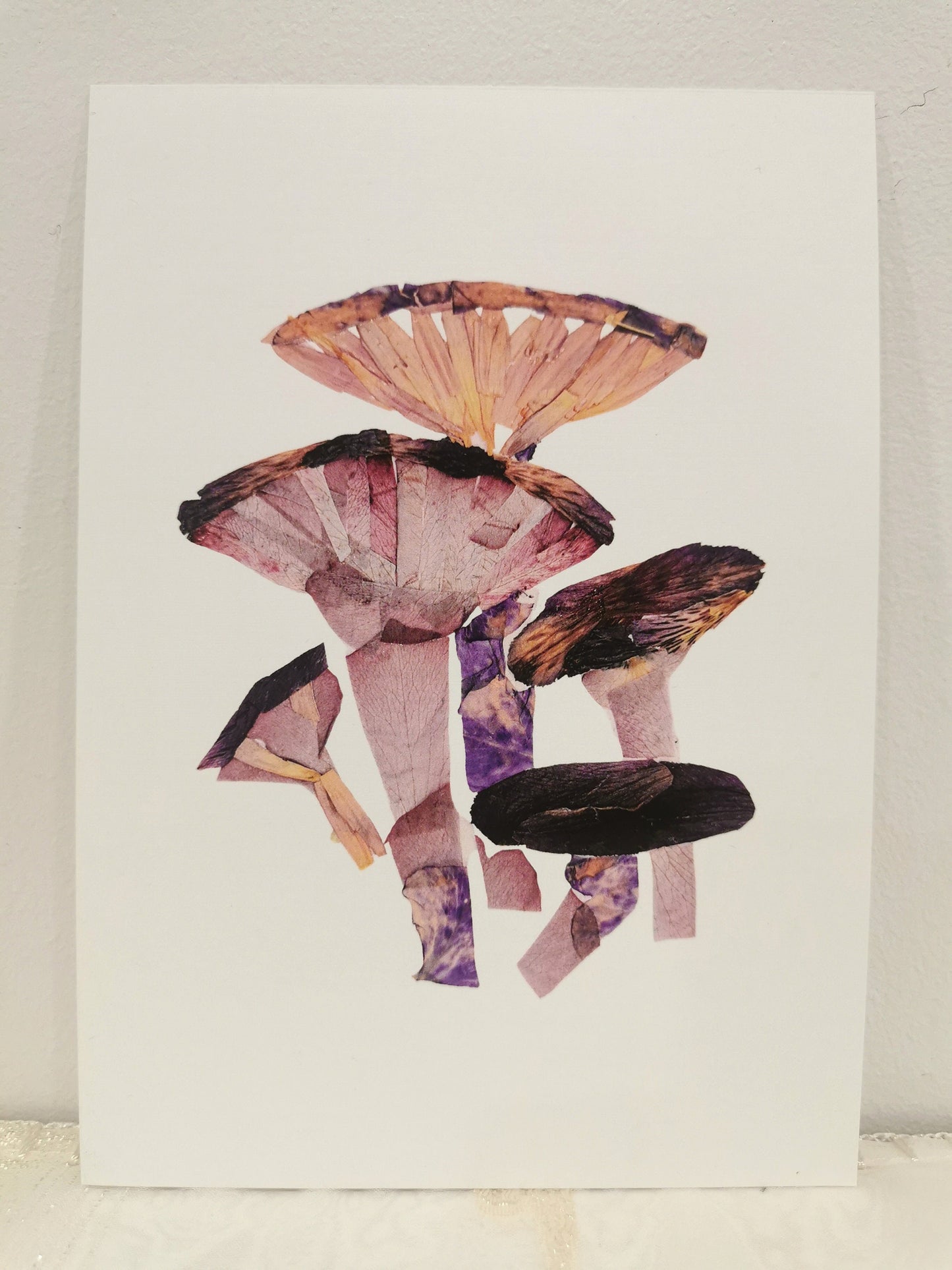 Pressed flower 5x7 fungi art print