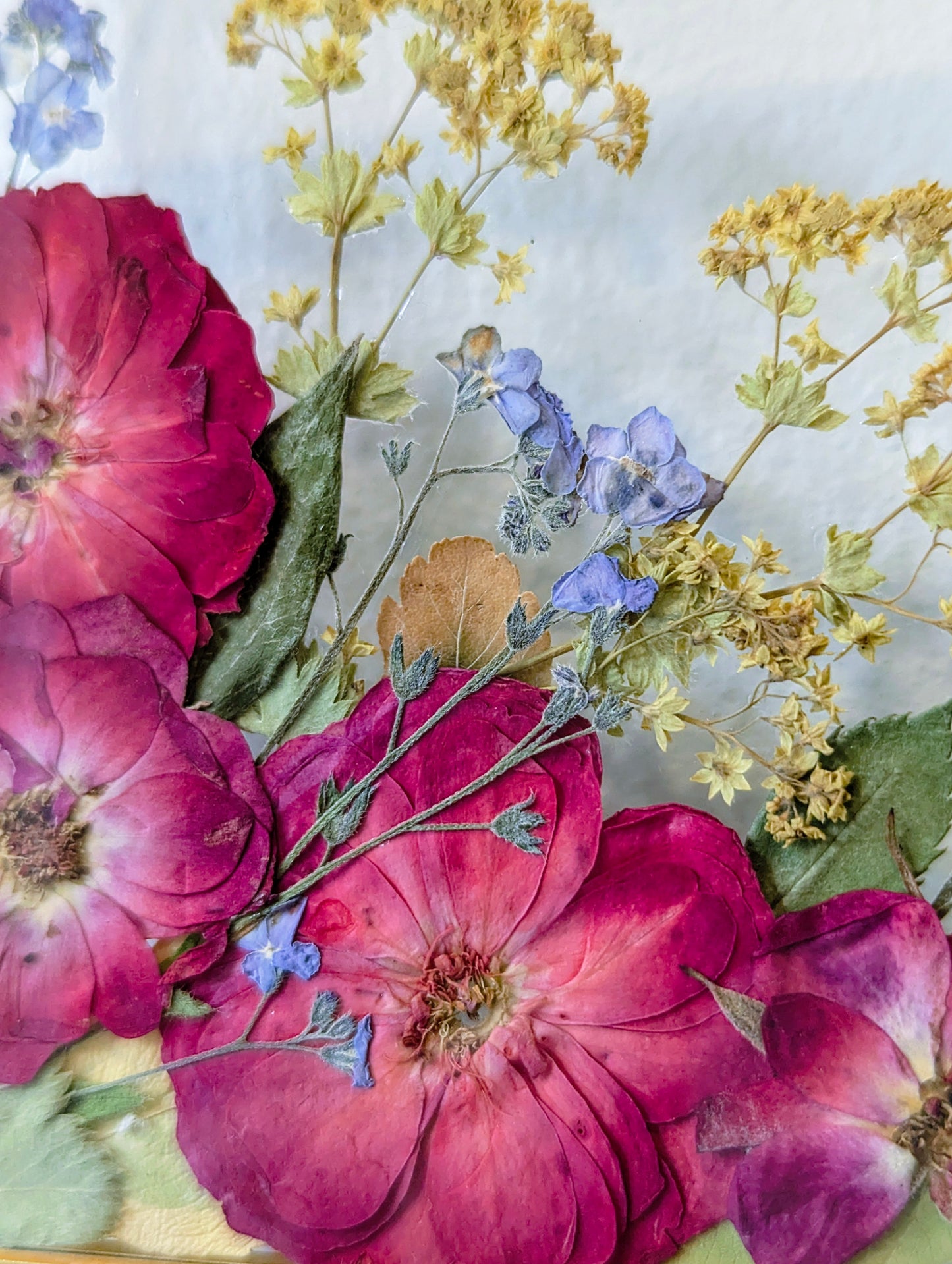 4x4 pressed flowers in floating frame