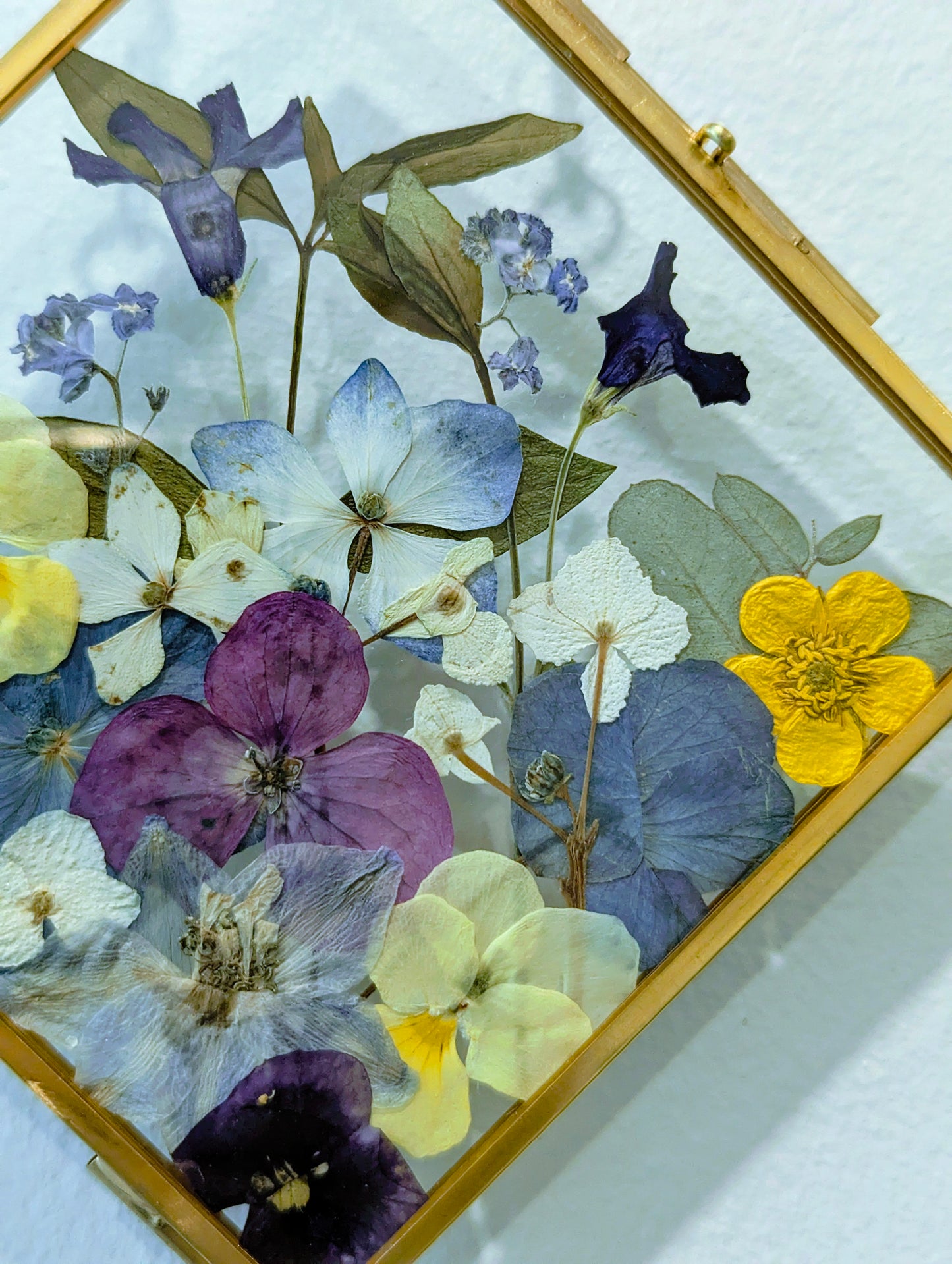4x4 pressed flowers in floating frame