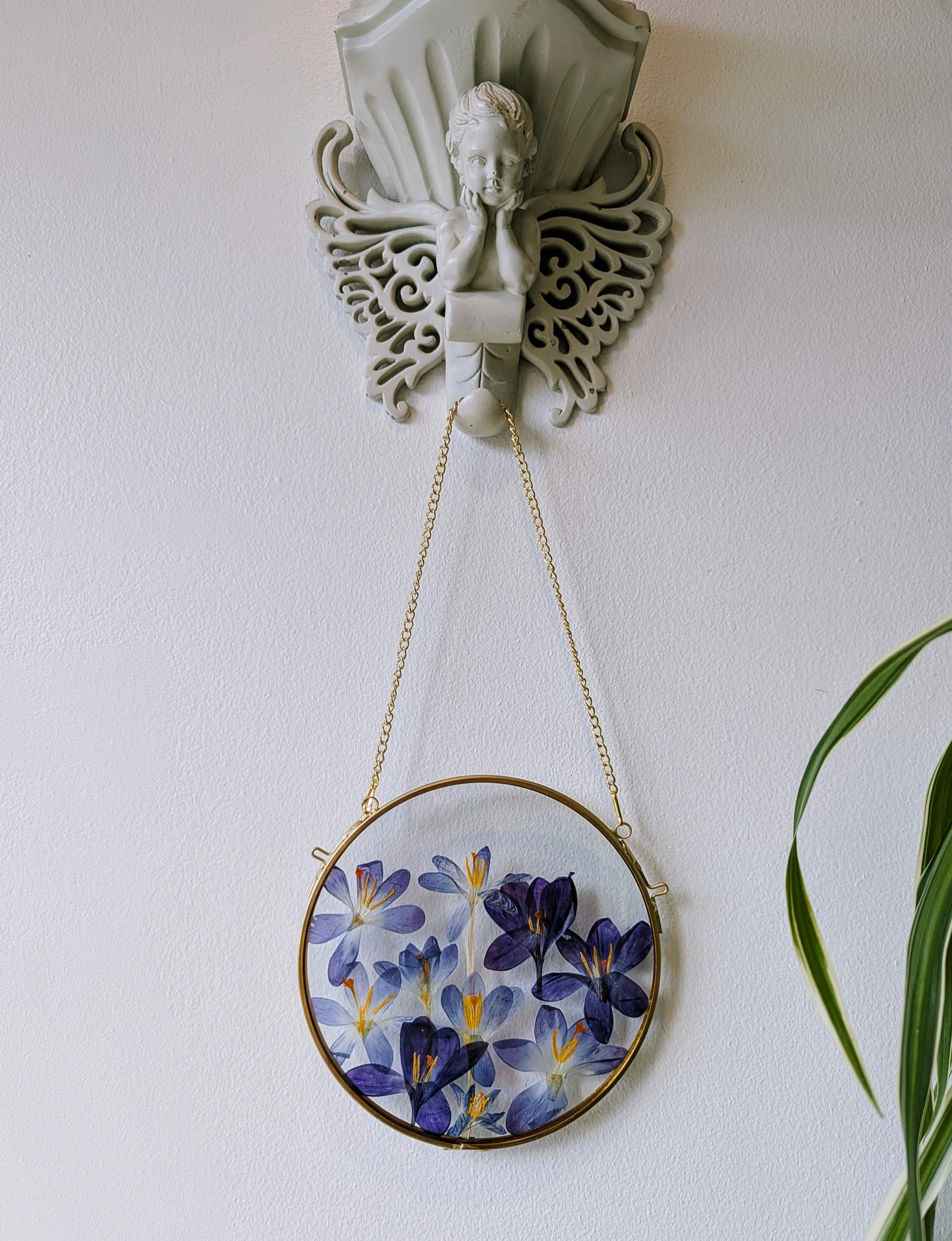 6x6 pressed crocuses in a round floating frame