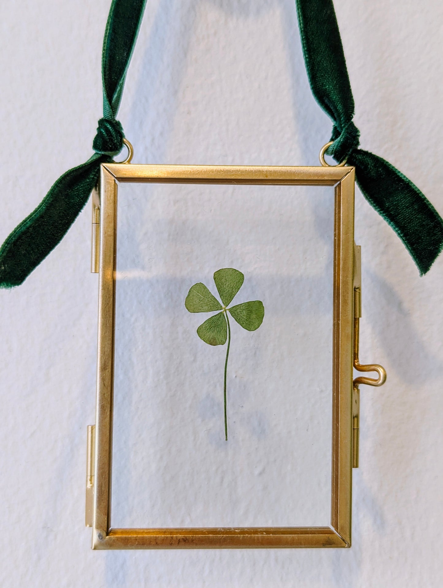 Framed four leaf clover