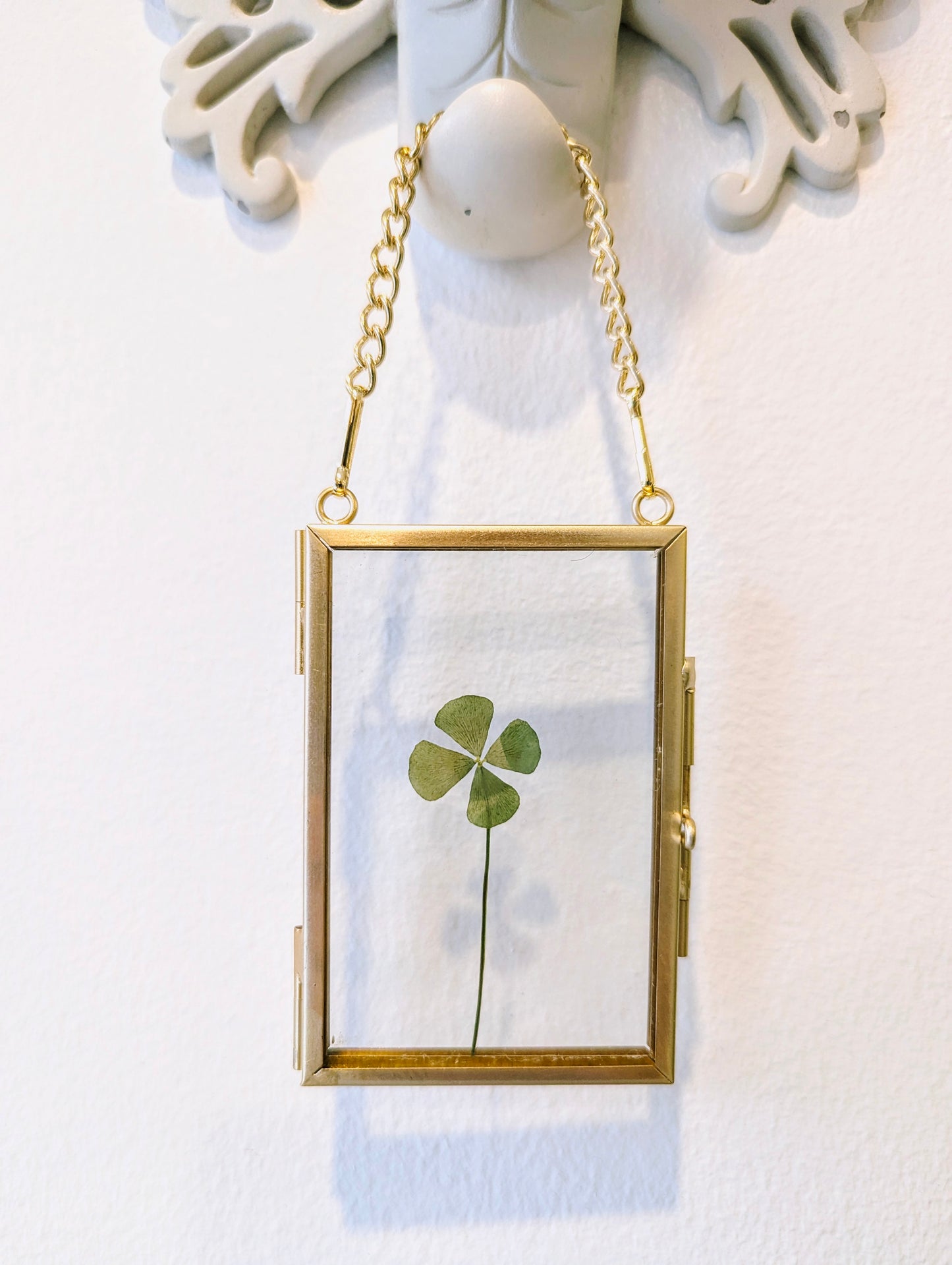Framed four leaf clover