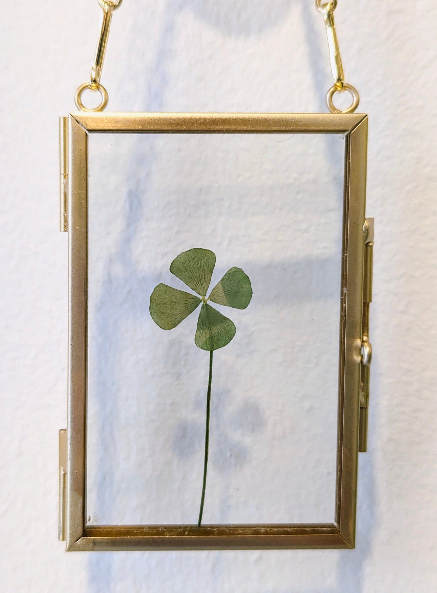 Framed four leaf clover
