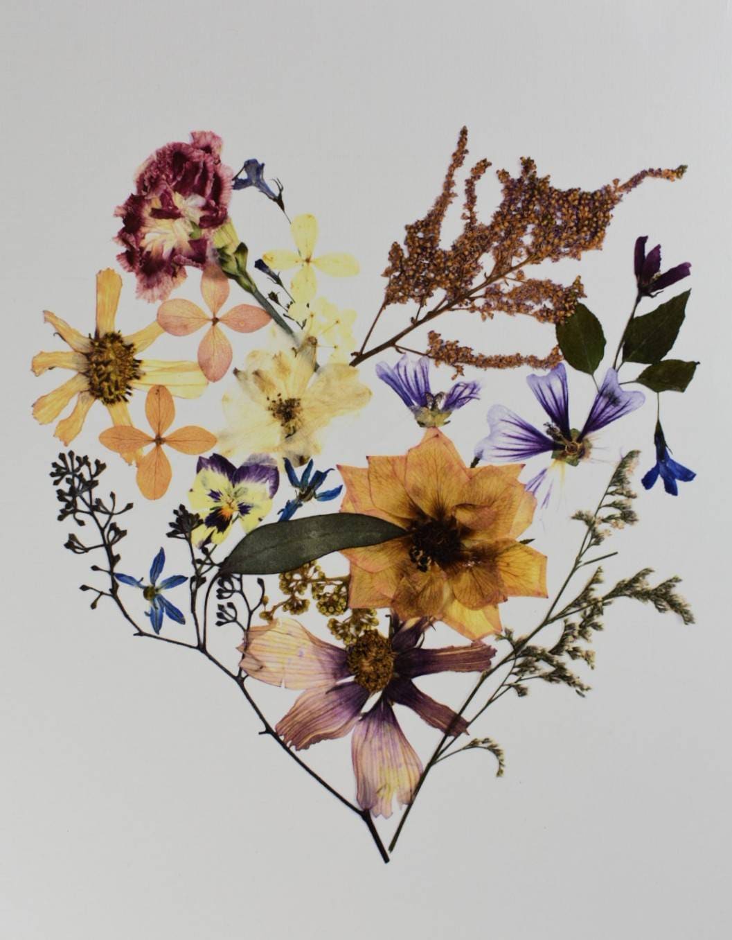 Pressed flower art capturing the essence of a preserved bridal bouquet.