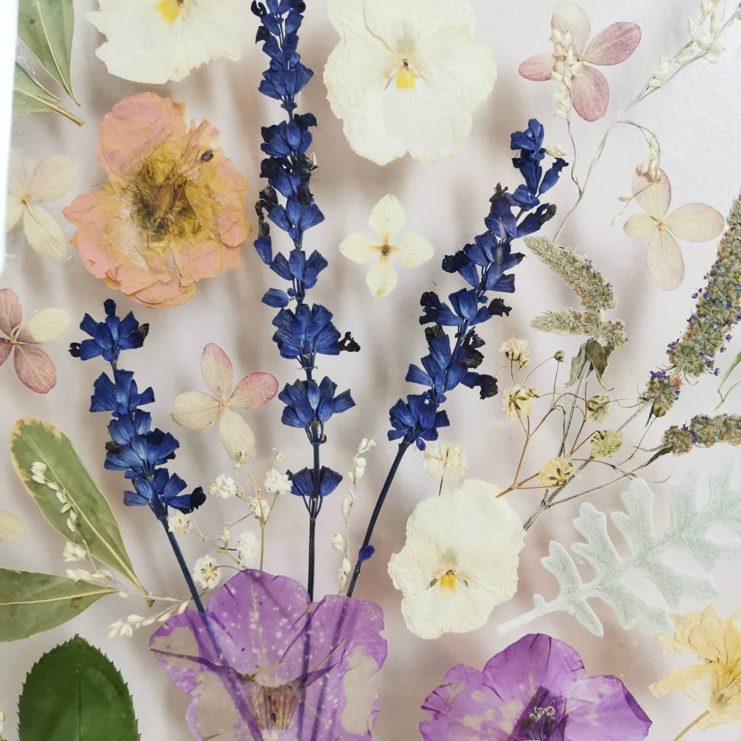 Custom pressed flower artwork