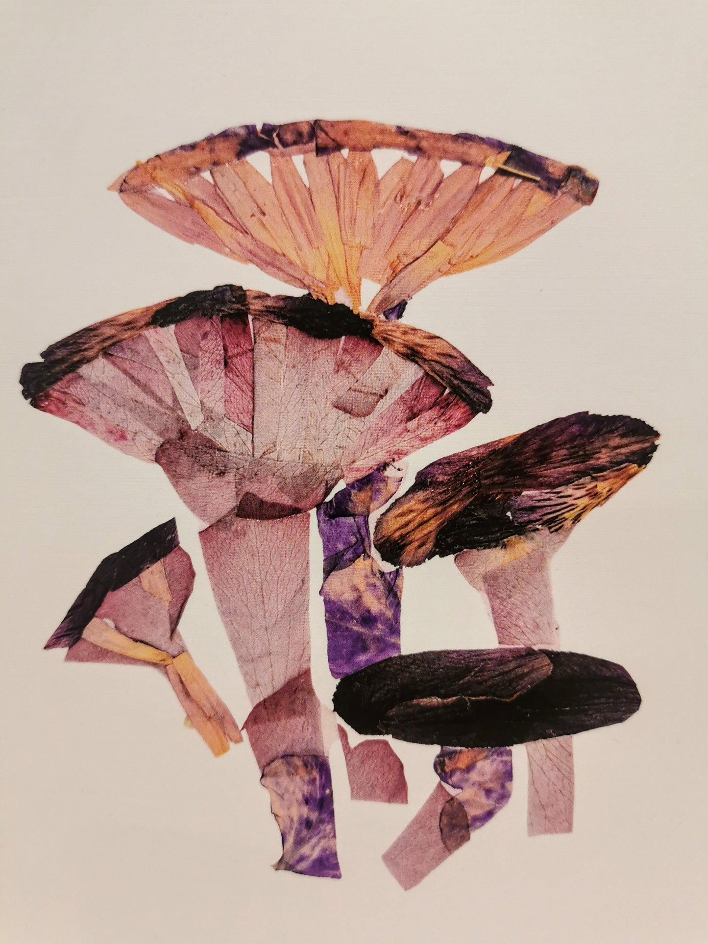 Timeless pressed flower artwork made from a preserved wedding bouquet.