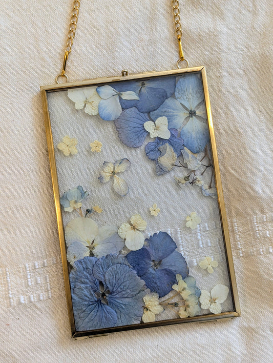 4x6 real pressed hydrangeas in a floating frame