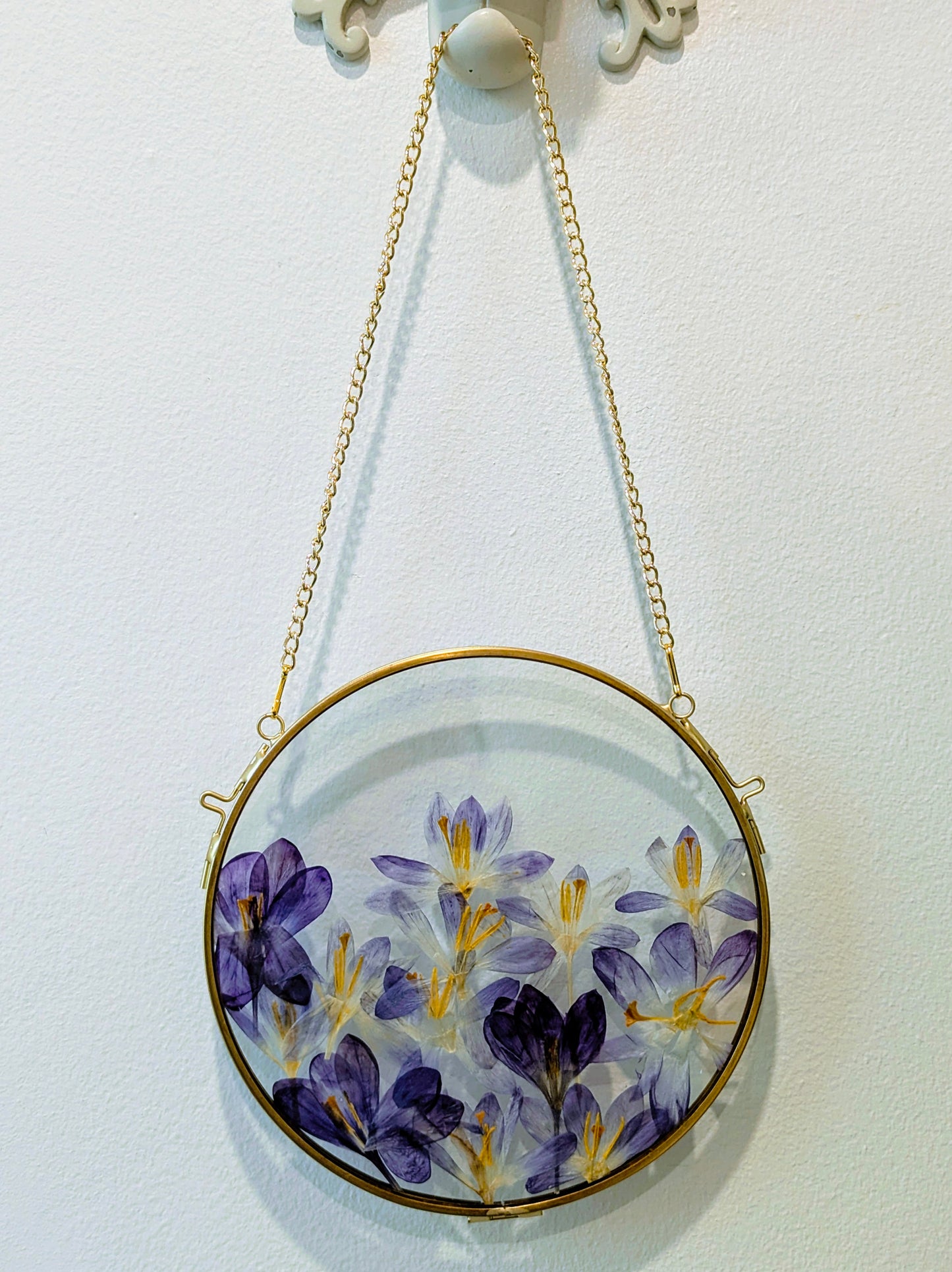 6x6 pressed crocuses in a round floating frame