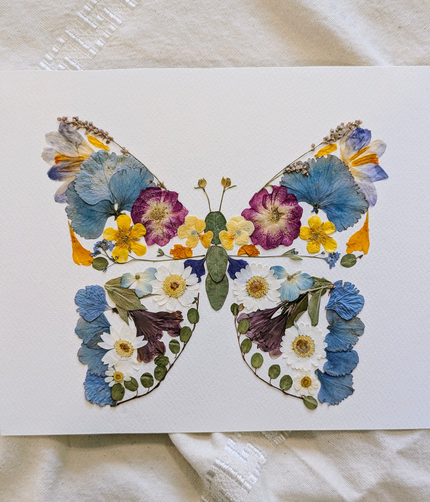 8x10 real pressed flower butterfly