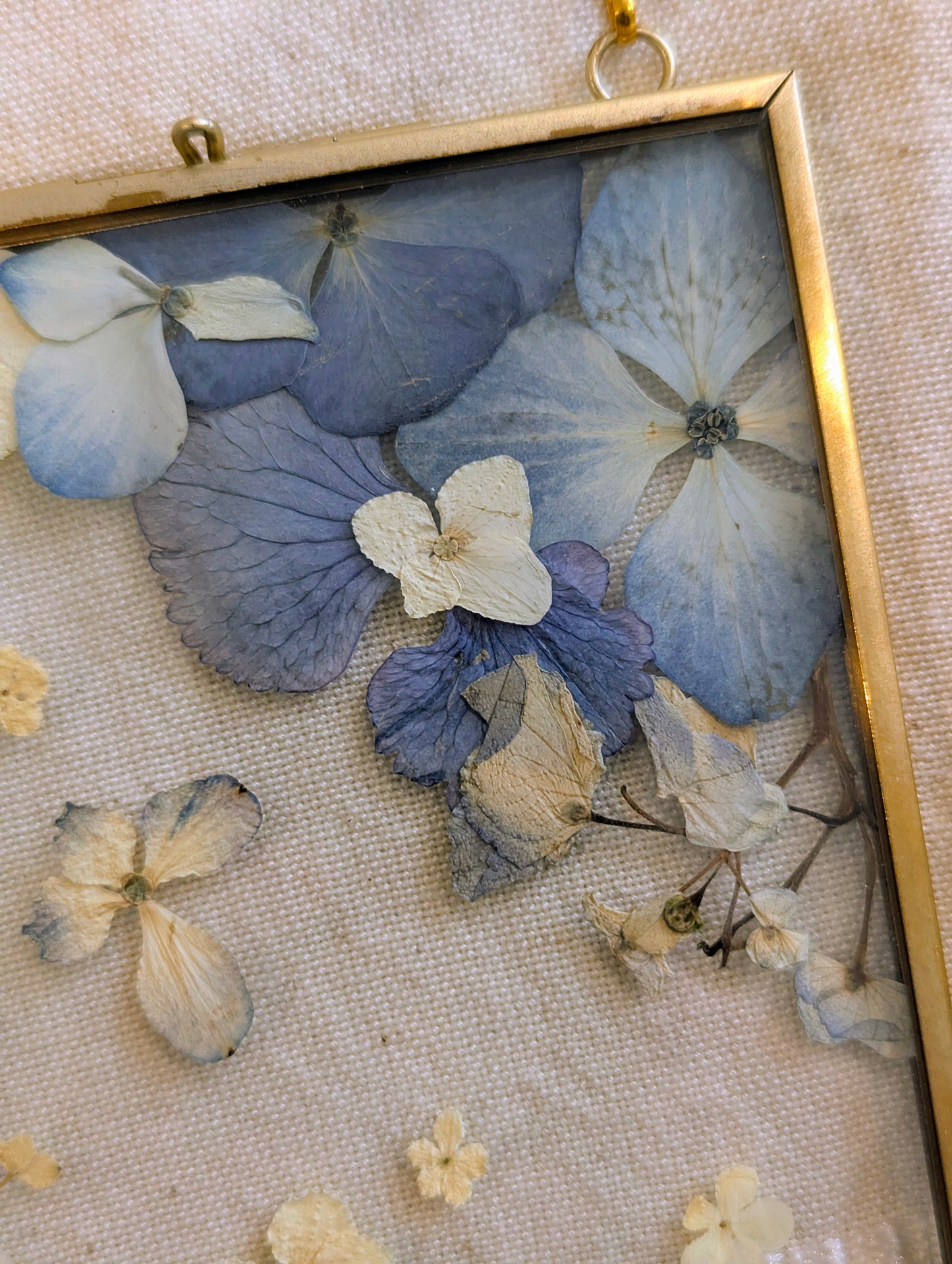 4x6 real pressed hydrangeas in a floating frame
