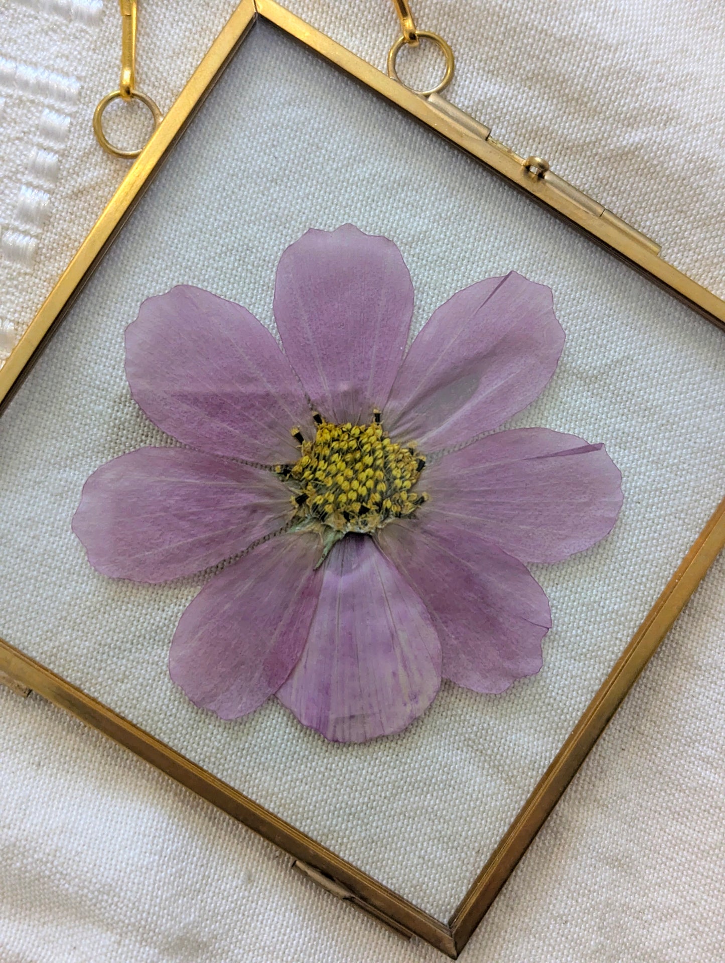 4x4 real pressed cosmo in floating frame