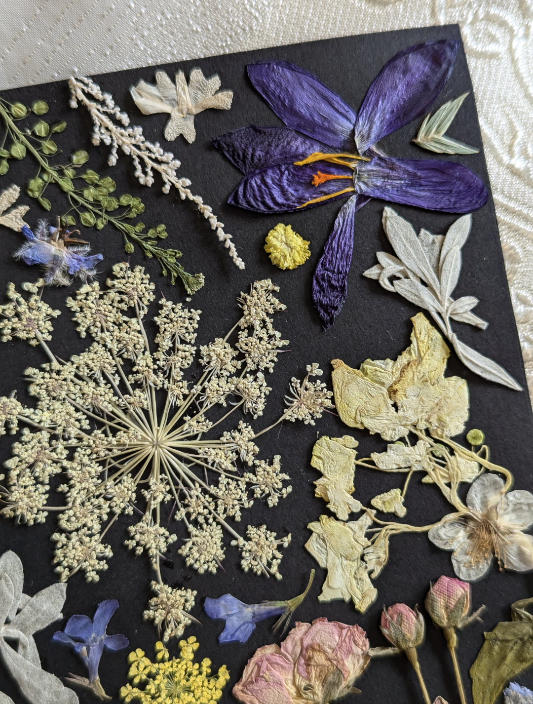 Nature-inspired artwork featuring pressed fern leaves and blossoms.