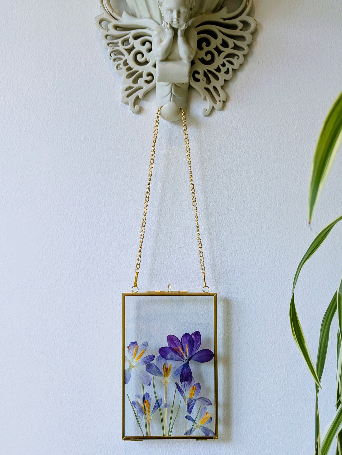 4x6 pressed crocuses in a floating frame