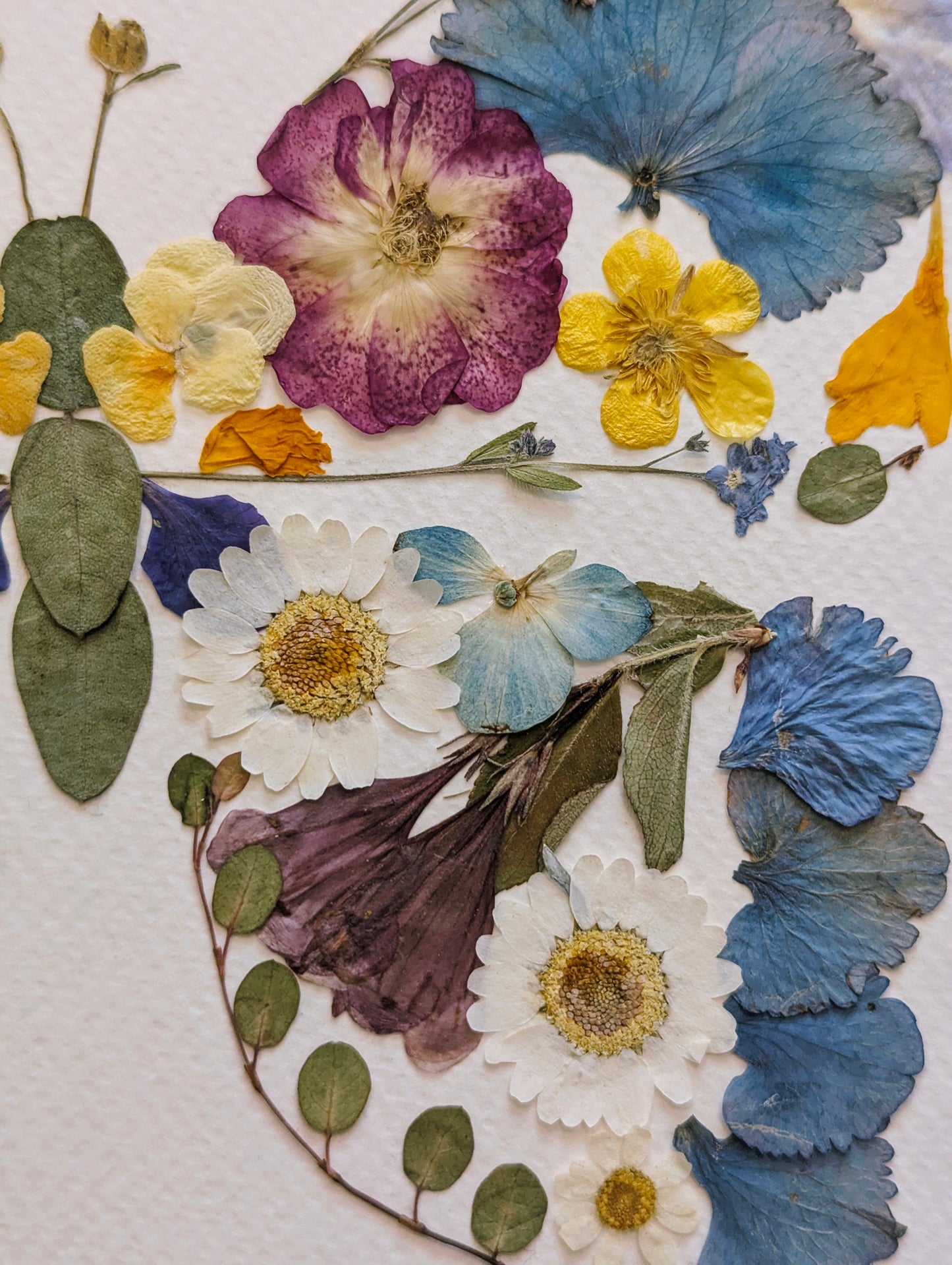 8x10 real pressed flower butterfly