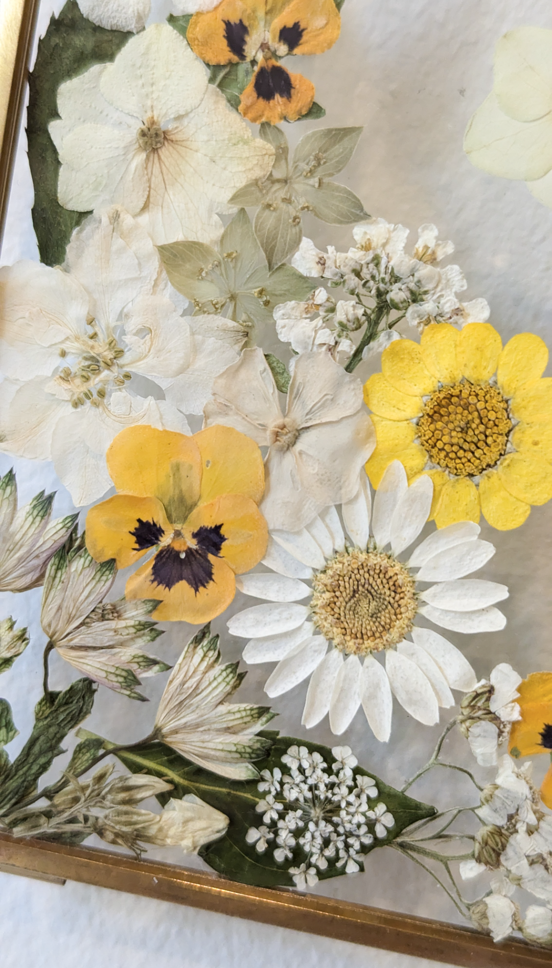 5x7 pressed flower floating frame