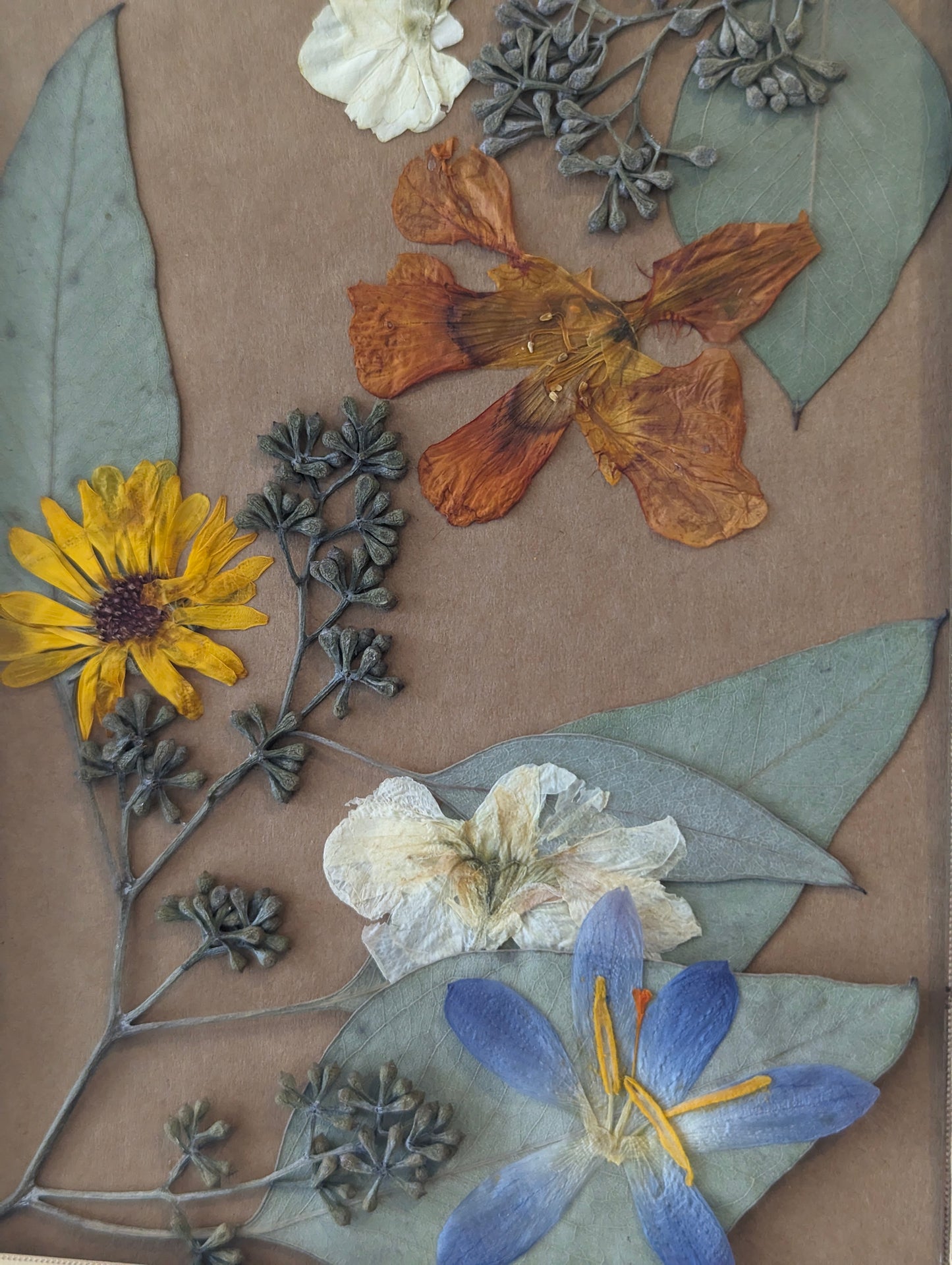 Floral art piece showcasing pressed sunflowers arranged in a vintage frame.