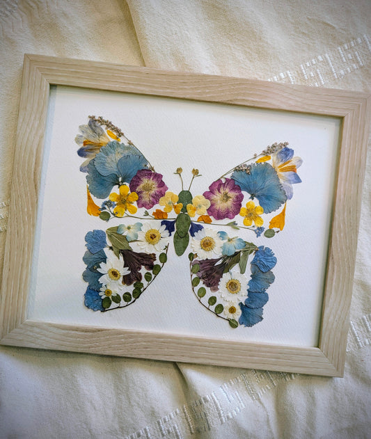 8x10 real pressed flower butterfly