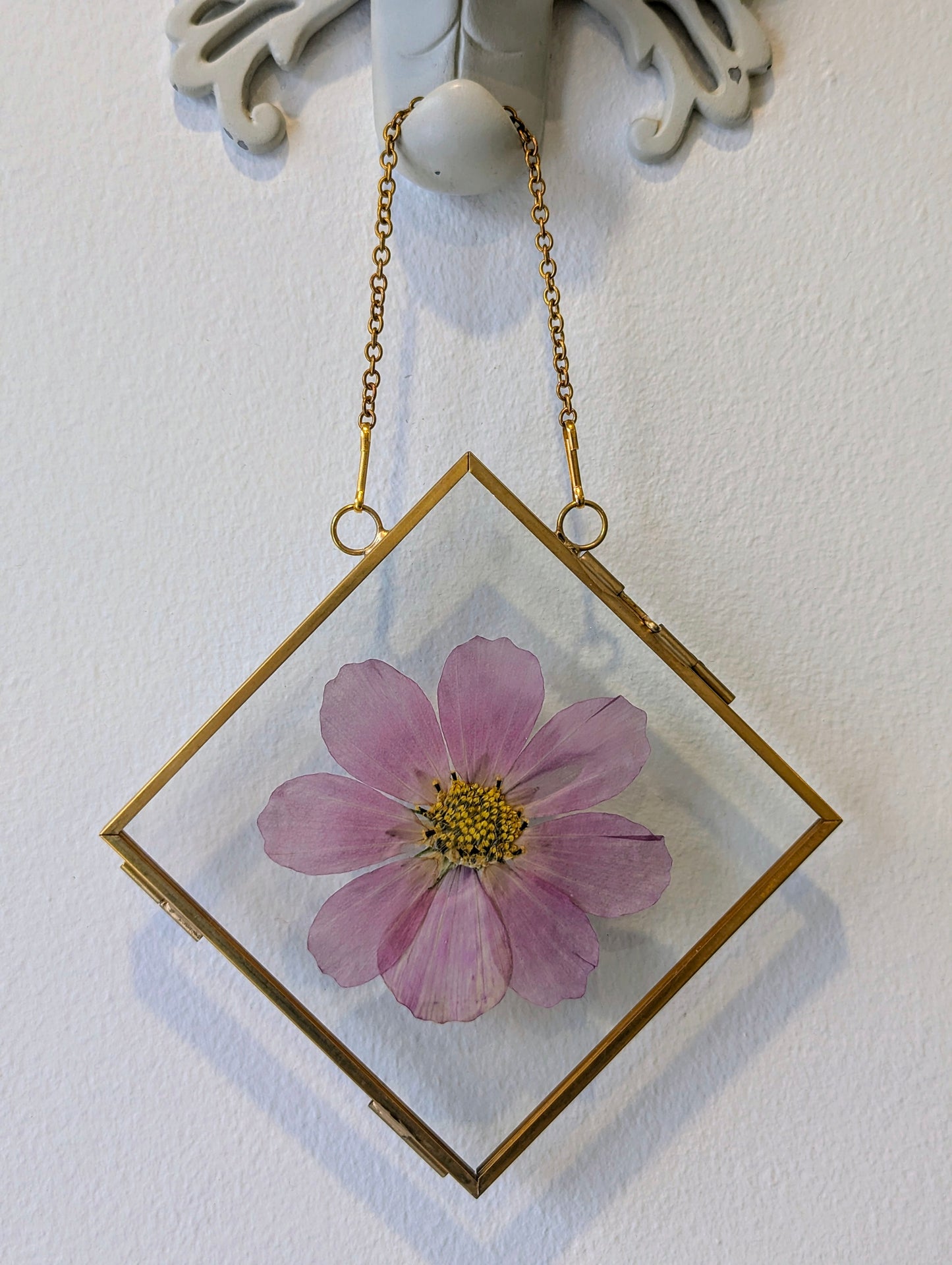 4x4 real pressed cosmo in floating frame