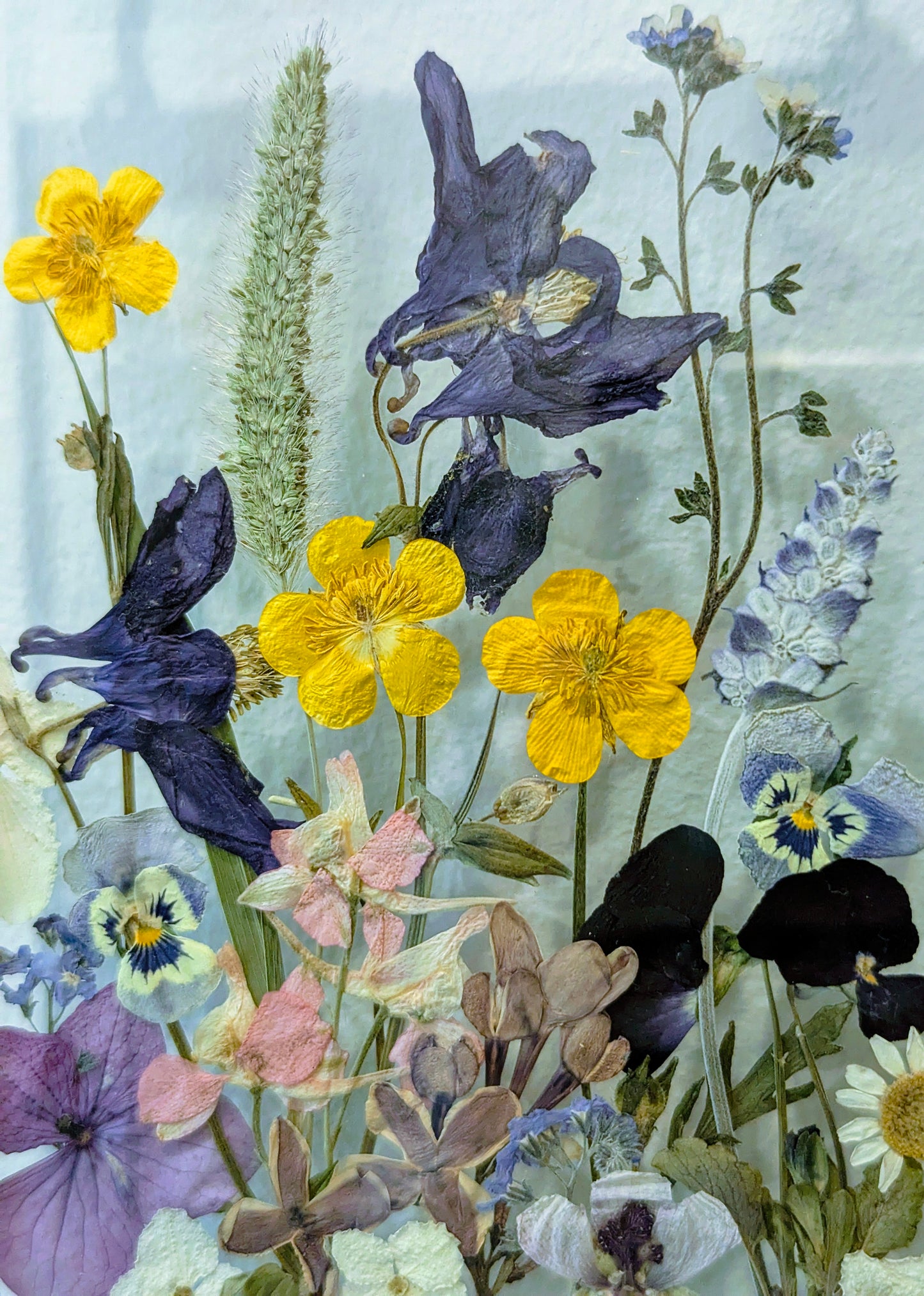 4x6 floating frame with real pressed flowers