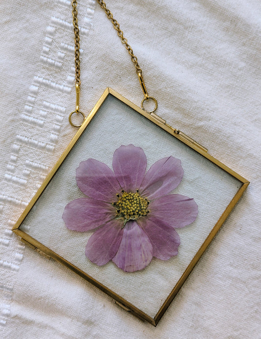 4x4 real pressed cosmo in floating frame